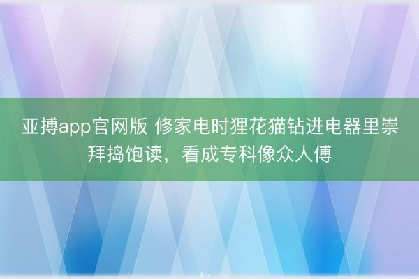 亚搏app官网版 修家电时狸花猫钻进电器里崇拜捣饱读，看成专科像众人傅